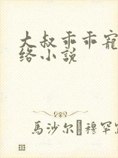 大叔乖乖宠我网络小说