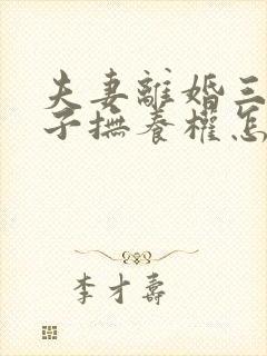 夫妻离婚三个孩子抚养权怎么判定