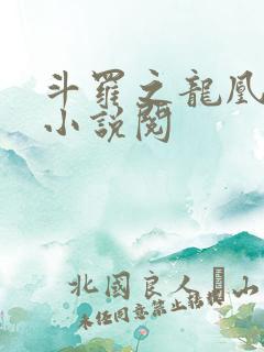 斗罗之龙凰传说小说阅