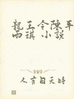 龙王令陈平,苏雨琪 小说