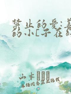 禁止的爱:善良的小[子在线观看