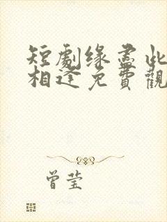 短剧缘尽此生不相逢免费观看