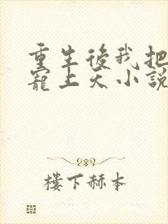 重生后我把丈夫宠上天小说