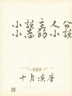 小说主人公叫林小志的小说