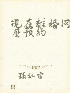 现在离婚网上怎么预约