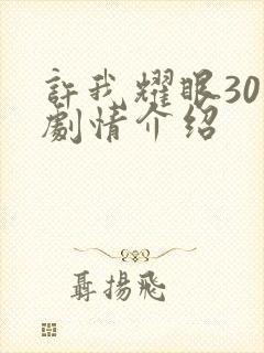 许我耀眼30集剧情介绍