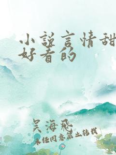 小说言情甜宠超好看的