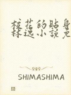 校花的贴身高手林逸小说免费阅读