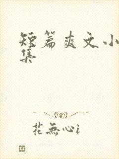 短篇爽文小说合集