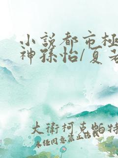 小说都市极品医神孙怡/夏若雪完全版