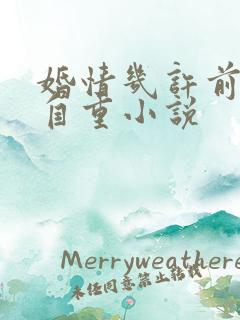 婚情几许前夫请自重小说