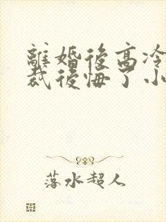 离婚后高冷女总裁后悔了小说阅读