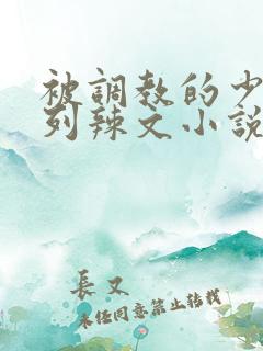 被调教的少妇系列辣文小说