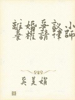 离婚争议小孩抚养权请律师要多少钱