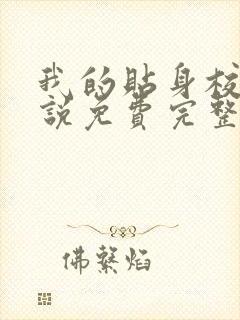 我的贴身校花小说免费完整版txt