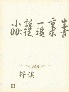 小说一重生2000:从追求青涩校花同桌开始