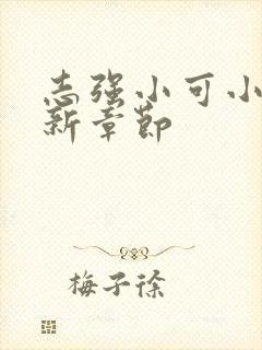 志强小可小说最新章节