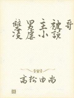 双男主被哥布林凌虐小说