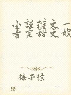 小说推文一口气看完甜文娱乐圈