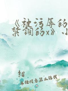 《被污辱的x被禁锢的x》小说