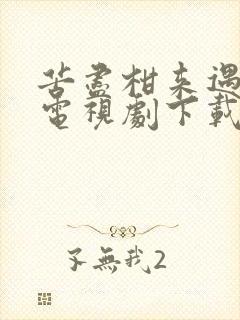 苦尽柑来遇见你电视剧下载免费观看