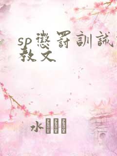 sp惩罚训诫调教文