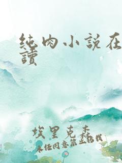 纯肉小说在线阅读