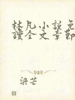 林凡小说免费阅读全文章节