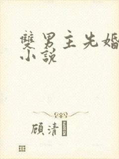 双男主先婚后爱小说