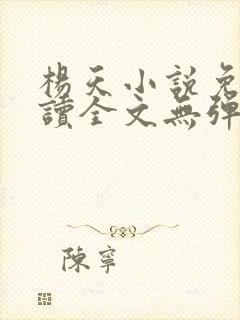 杨天小说免费阅读全文无弹窗