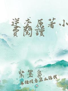 逆袭原著小说免费阅读