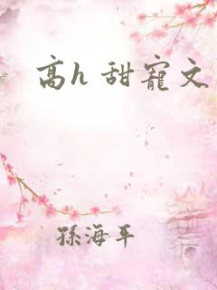 高h 甜宠文