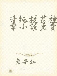 清纯校花被擒日常小说免费阅读全文