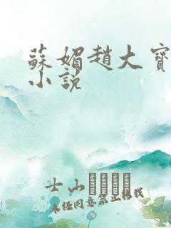 苏媚赵大宝赵勇小说