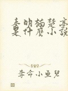 秦明楠楚亭寒烟是什么小说