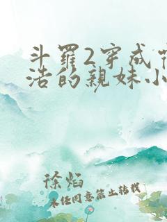 斗罗2穿成霍雨浩的亲妹小说免费阅读