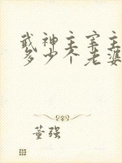 武神主宰主角有多少个老婆