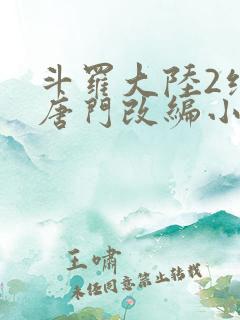 斗罗大陆2绝世唐门改编小说