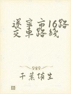 遂宁市16路公交车路线