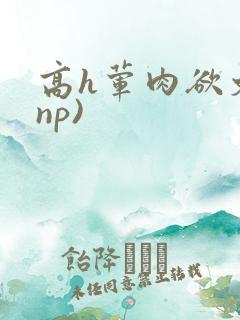 高h荤肉欲文(np)