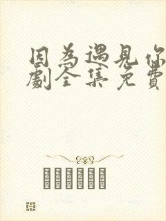 因为遇见你电视剧全集免费高清在线