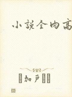 小说全肉高h