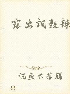 露出调教辣文
