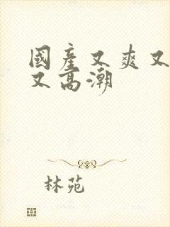 国产又爽又刺激又高潮