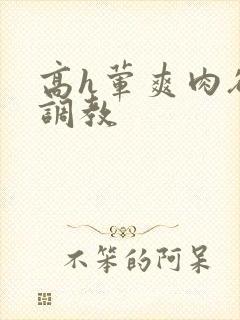 高h荤爽肉欲文调教