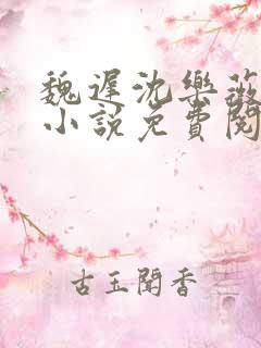 魏迟沈乐薇重生小说免费阅读