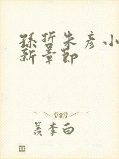 孙哲朱彦小说最新章节