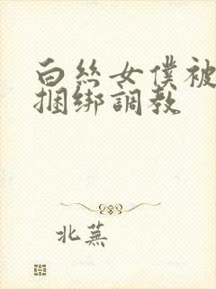 白丝女仆被主人捆绑调教