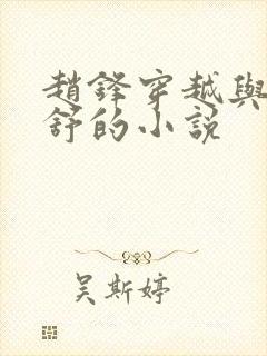 赵锋穿越与陈卿舒的小说