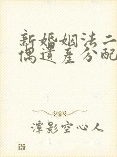 新婚姻法二婚丧偶遗产分配